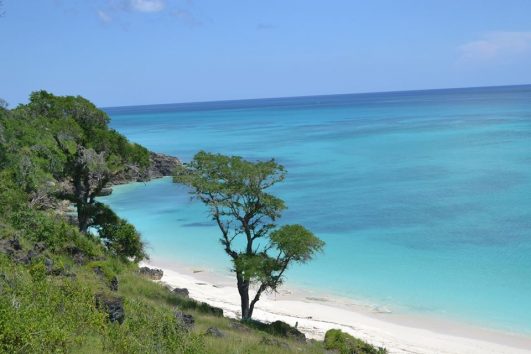 Paket Tour Wisata Pulau Sabu 4 Hari 3 Malam