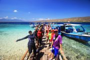 Pulau Menjangan_Campatour