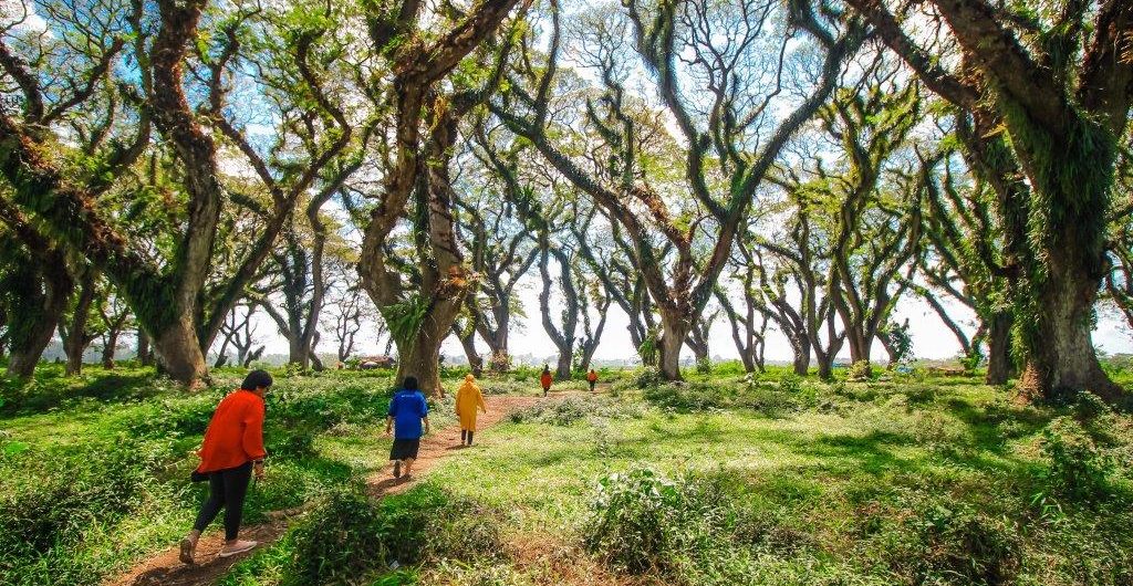 3 Destinasi Hits Banyuwangi 2024, Yuk Liburan Di Banyuwangi