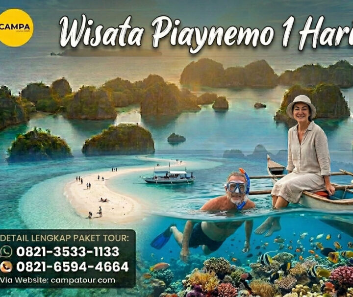 Paket Tour Piaynemo 1 Hari