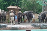 Paket Tour Bali Safari dan Marine Park 3 Hari 2 Malam (3H2M)