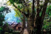 Open Trip Baduy
