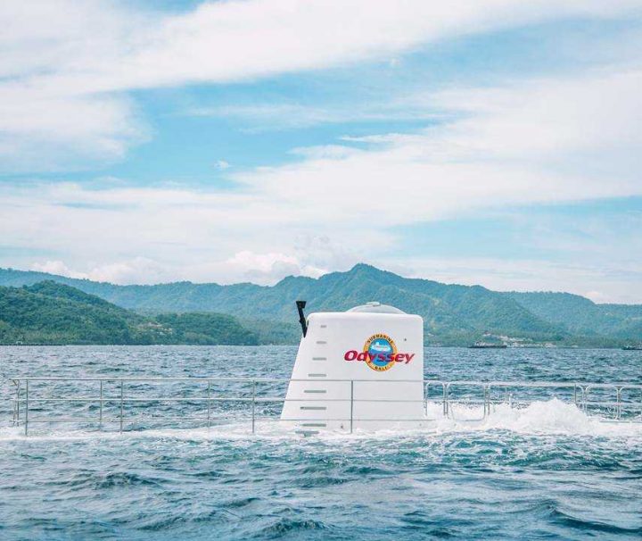 Paket Tour Bali Odyssey, Kintamani, dan Bedugul 5 Hari 4 Malam (5H4M)