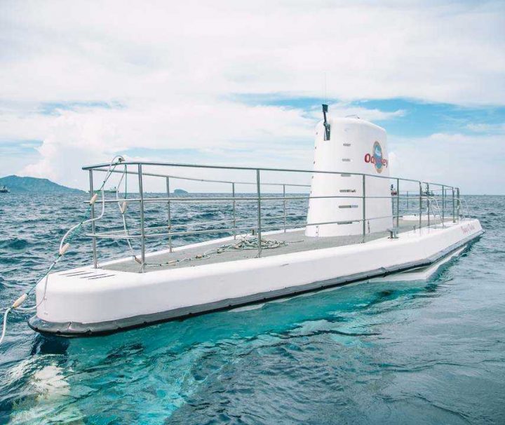 Paket Tour Bali Odyssey, Kintamani, dan Bedugul 5 Hari 4 Malam (5H4M)