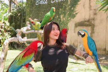 Paket Tour Bali Bird Park,Tanjung Benoa, dan Bedugul 5 Hari 4 Malam (5H4M)
