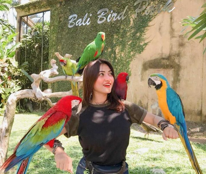 Paket Tour Bali Bird Park,Tanjung Benoa, dan Bedugul 5 Hari 4 Malam (5H4M)