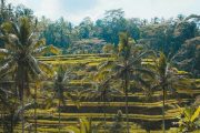 Paket Tour Ubud Bali 3 Hari 2 Malam (3H2M)