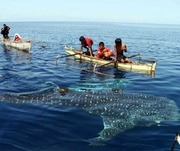 Paket Tour Gorontalo dan Pulo Cinta 4 Hari 3 Malam (4H3M)