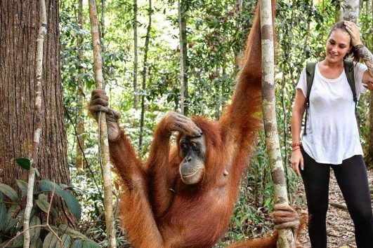 Paket Tour Bukit Lawang 2 Hari 1 Malam (2H1M)