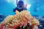 Paket Tour Batam dan Pulau Bintan 3 Hari 2 Malam (3H2M)
