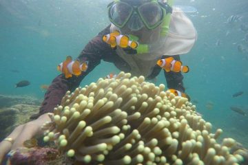 Paket Tour Batam dan Pulau Bintan 3 Hari 2 Malam (3H2M)