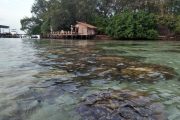 Paket Tour Pulau Macan 2 Hari 1 Malam (2H1M)