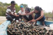 Sehari Menjadi Petani Kerang & Heritage Tour Banten Kota Lama