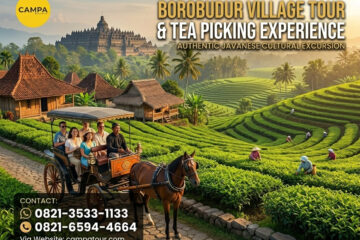 Paket Borobudur Petik Teh_Campa Tour