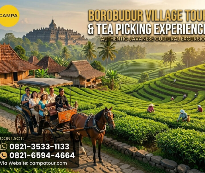 Paket Borobudur Petik Teh_Campa Tour