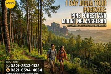 Paket Tour Jogja 1 Hari Hutan Pinus dan Gunung Nglanggeran - Campa Tour
