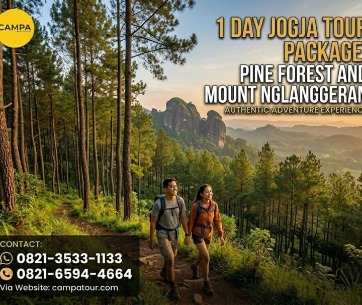 Paket Tour Jogja 1 Hari Hutan Pinus dan Gunung Nglanggeran - Campa Tour