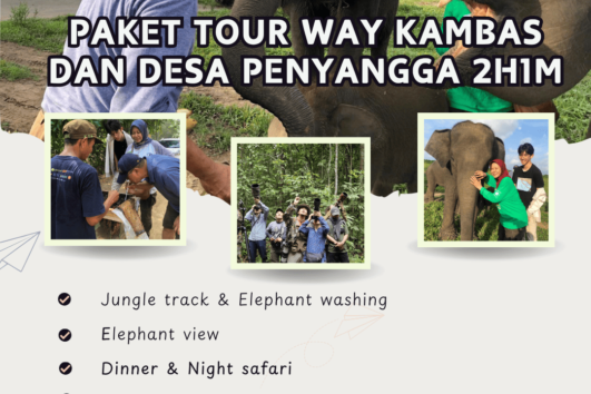 Paket Tour Way Kambas dan Desa Penyangga 2 Hari 1 Malam (2H1M)