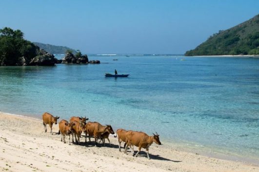 Paket Tour Sumbawa Barat 5 Hari 4 Malam (5H4M)