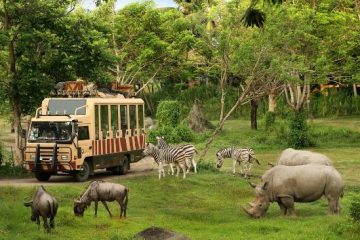 Paket Tour Bali Safari dan Marine Park 3 Hari 2 Malam (3H2M)
