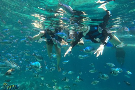 Paket Tour Nusa Penida dan Lembongan 1 Hari