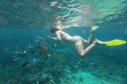 Paket Tour Nusa Penida dan Lembongan 1 Hari