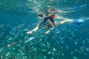 Paket Tour Nusa Lembongan 1 Hari