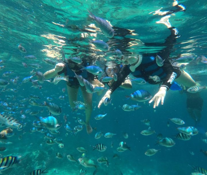 Paket Tour Nusa Penida dan Lembongan 1 Hari