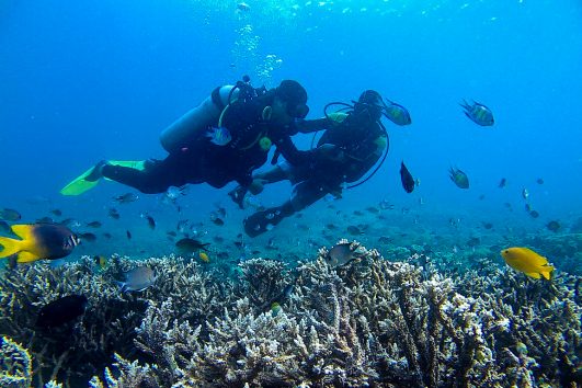 Paket Tour Diving Anambas 4 Hari 3 Malam (4H3M)