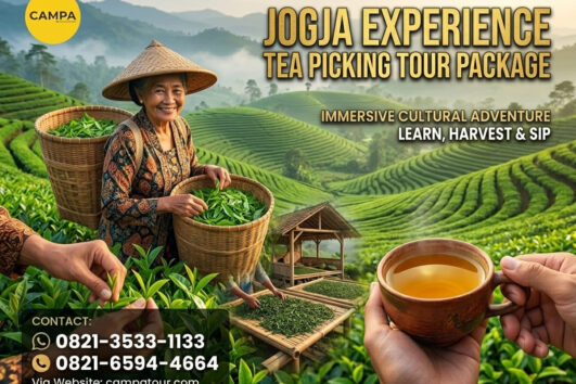 Paket Tour Jogja Experience Petik Teh_Campa Tour