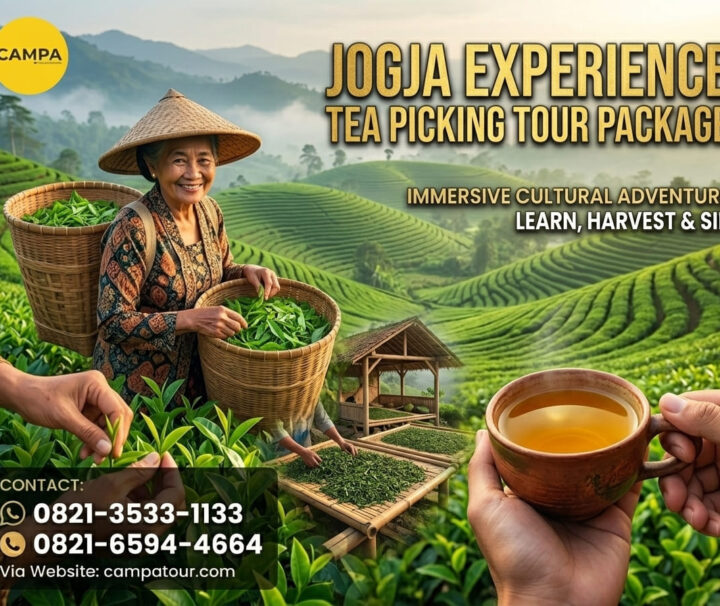 Paket Tour Jogja Experience Petik Teh_Campa Tour