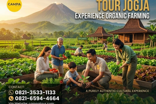 Tour Jogja Experience Organik Farming