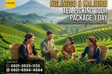 Paket Tour Petik Teh Nglinggo & Kalibiru 1 Hari - Campa Tour