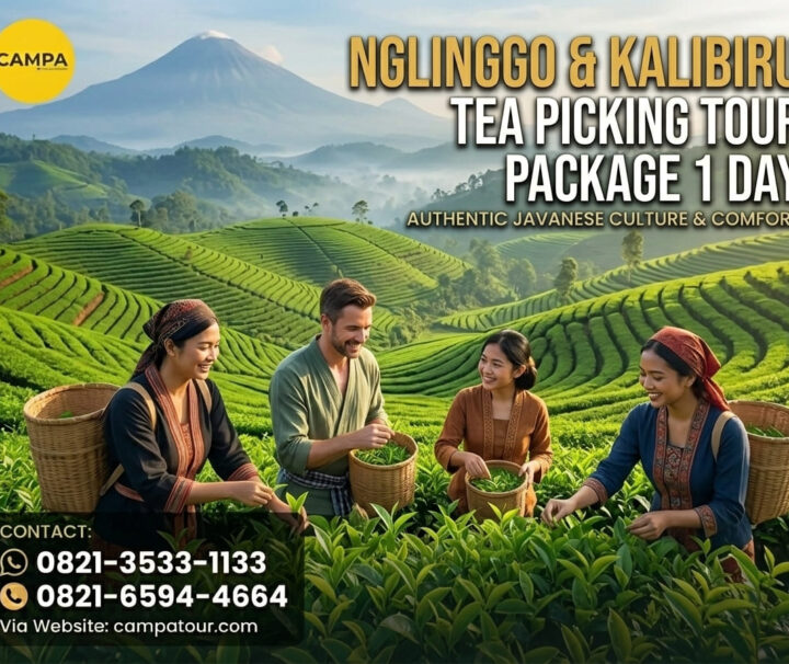 Paket Tour Petik Teh Nglinggo & Kalibiru 1 Hari - Campa Tour