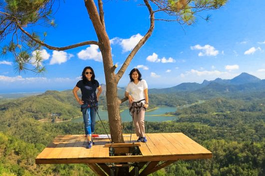 Paket Tour Jogja 2 Hari 1 Malam (2H1M): Pule Payung dan Hutan Pinus Pengger