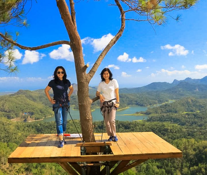 Paket Tour Jogja 2 Hari 1 Malam (2H1M): Pule Payung dan Hutan Pinus Pengger