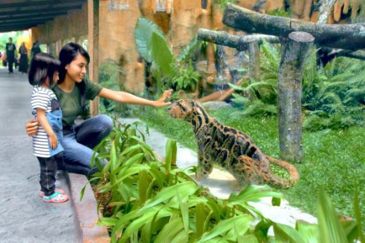Daya Tarik Gembira Loka Yogyakarta, tak Sekedar Rekreasi