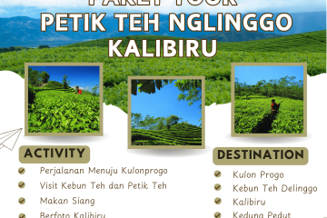 paket tour petik teh NGLINGGO kalibiru
