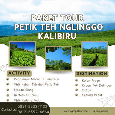 paket tour petik teh NGLINGGO kalibiru
