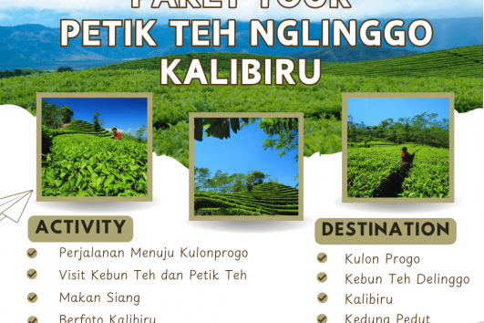 paket tour petik teh NGLINGGO kalibiru