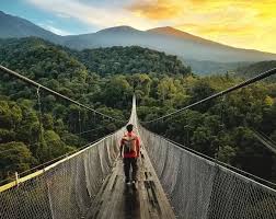 One Day Trip Sukabumi: Suspension Bridge Situ Gunung (Privat)