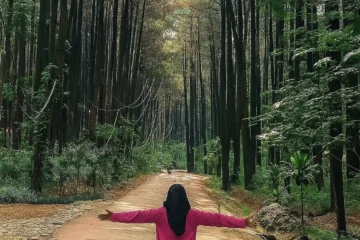 Trekking 1 Hari: Gunung Pancar