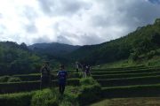 Trekking Taman Bougenvill Bandung