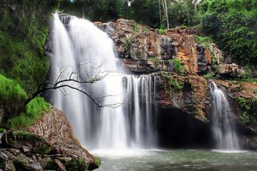Trekking Terjun Campuhan dan Tegalalang Ubud Bali