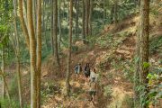 Trekking The Lodge Maribaya Cibodas Lembang