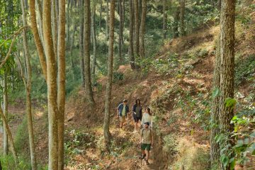Trekking The Lodge Maribaya Cibodas Lembang
