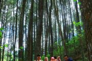 Trekking The Lodge Maribaya Cibodas Lembang
