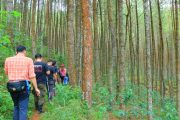 Trekking The Lodge Maribaya Cibodas Lembang