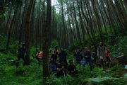 Trekking The Lodge Maribaya Cibodas Lembang
