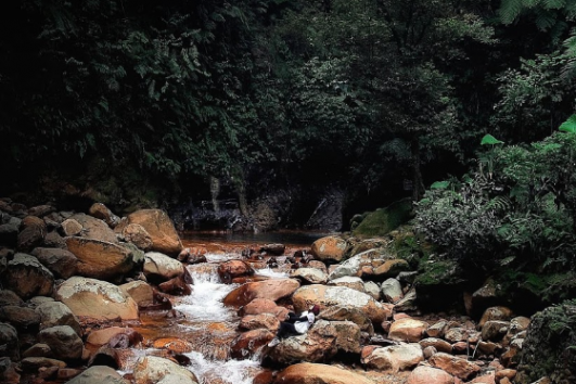 Explore Curug Ciparay Muara Herang, Konservasi & Coffee Track - Campa
